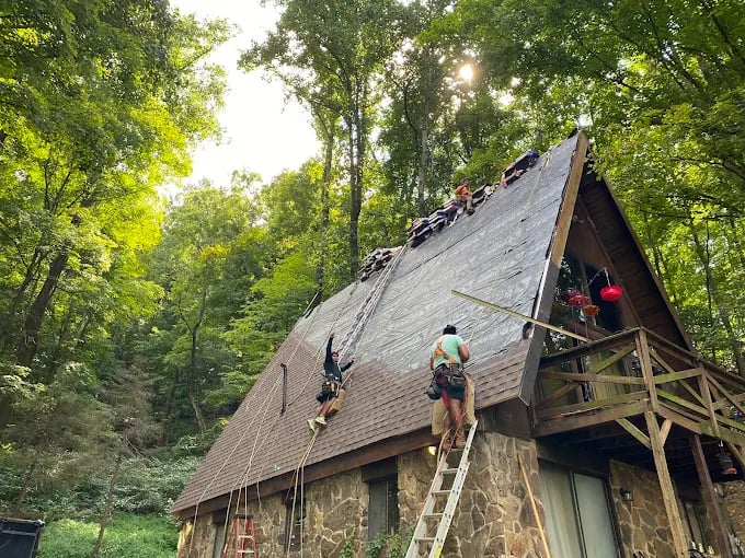 People climbing steep wooden roof in forest with ropes and ladder